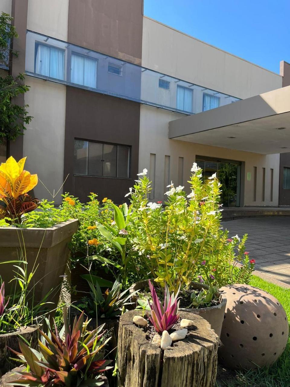 Maximus Business Hotel Ji-Paraná Eksteriør bilde